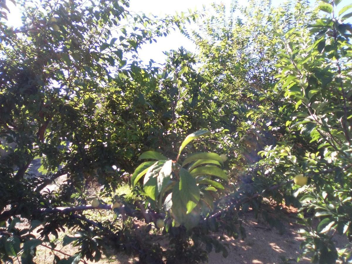 Casa De Los Abuelos Vilaflor Dış mekan fotoğraf